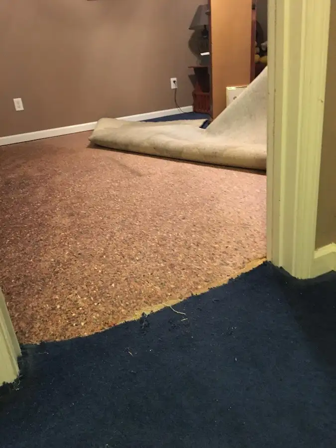 Carpet pad removal revealing water damage during Drying & Dehumidification in Belleville
