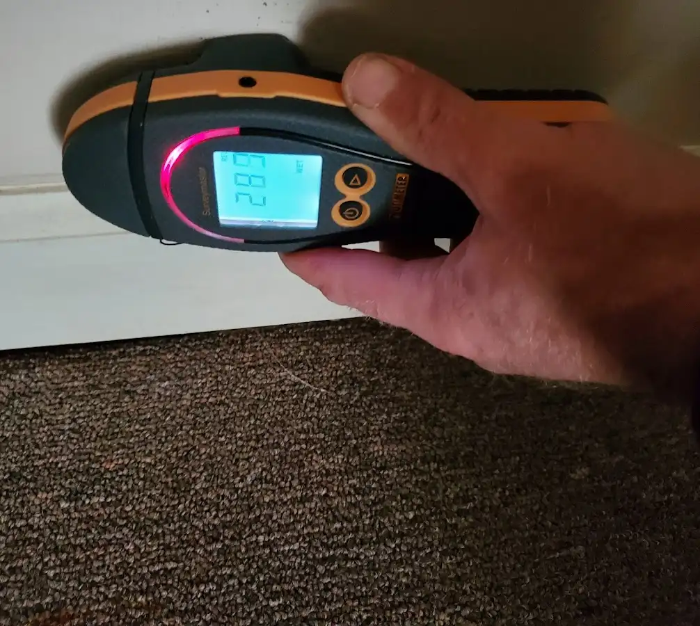 Moisture detection at baseboard during Mold Inspection & Testing in Belleville